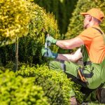 Choose the Right Landscaping Company