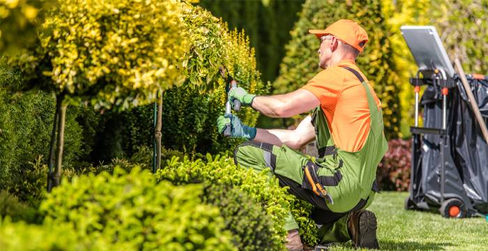 Choose the Right Landscaping Company
